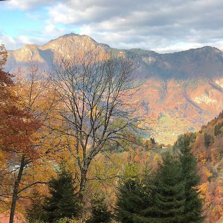 Chalet Du Bois Des Fugiers ユジーヌ エクステリア 写真