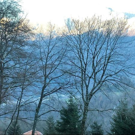 Chalet Du Bois Des Fugiers ユジーヌ エクステリア 写真